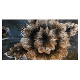 K - Assorted Women's Scarves