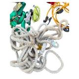 Assorted Tie Down Straps, Ratchet Straps, Ropes and Bungee Cords Lot