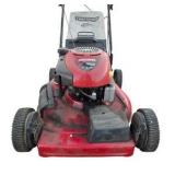 Craftsman 22' Self-Propelled Lawn Mower 6.25 HP With Dust Blocker Bag