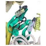 Assorted Tie Down Straps, Ratchet Straps, Ropes and Bungee Cords Lot