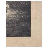 Antique Dracaena Draco Dragon Tree Engraving Print by J.J. Williams