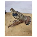 North American Wildlife Designs Bird Sculptures (Lot of 3) - Loon, Partridge & Duck Pair - MN