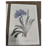 Five Pieces of Floral Art - Not Framed