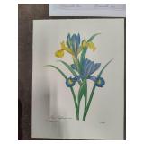 Five Pieces of Floral Art - Not Framed