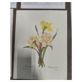 Five Pieces of Floral Art - Not Framed