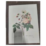 Five Pieces of Floral Art - Not Framed