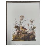 Assorted Bird Prints - Not Framed