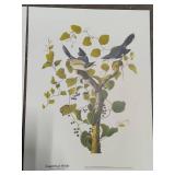 Assorted Bird Prints - Not Framed