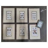 Asst Shell Framed Art Pcs