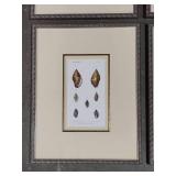 Asst Shell Framed Art Pcs