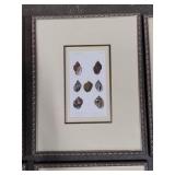 Asst Shell Framed Art Pcs
