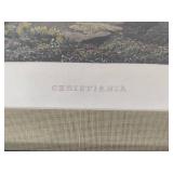 Christiana Framed Art