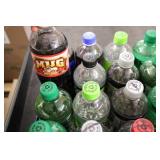 Variety of Soda 24-20oz bottles **P...