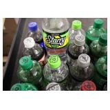 Variety of Soda 24-20oz bottles **P...