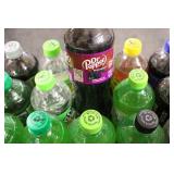 Variety of Soda 24-20oz bottles **P...