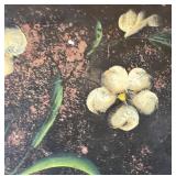 LR - Vintage Double-Frame Floral Wall Art