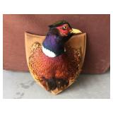 Pheasant Rooster Head Mount