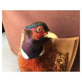 Pheasant Rooster Head Mount