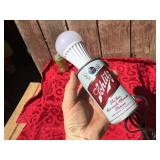 Vintage SCHLITZ Can Light