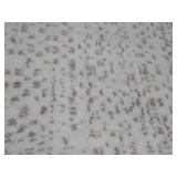 30 x 44" Accent Rug...