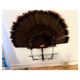Turkey fan wall mount