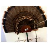 Turkey fan wall mount