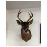 6 Pt. Wall mount buck