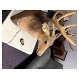 Singing buck wall mount with remote and microphone