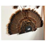 Turkey fan wall mount