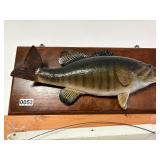 Small Mouth Bass mount