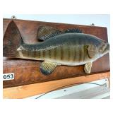 Small Mouth Bass mount