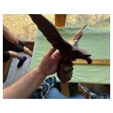 Hand Crafted eagle figurines