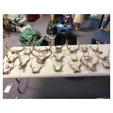 Large lot of deer antlers