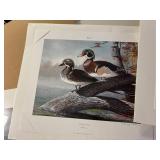 3 prints Ducks unlimited sponsor prints 2006