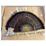 Turkey fan wall mount