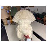 Albino full body wild white turkey mount