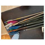 Arrow storage box with arrows