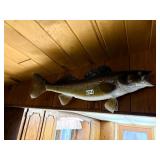 Walleye fish mount