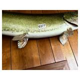 Northern pike fish mount