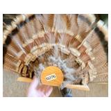 Set of 2 turkey fan mounts