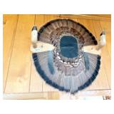 turkey fan mount gun rack