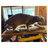 Bobcat mount