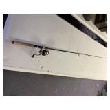 Spinning reel & Rod