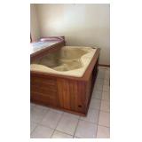 polynesian spas model or hot tub