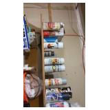 contents of shelf including various gloss and enameling liquids