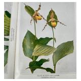 Vintage Wild Flowers Field Guide, Glass Hummingbird Feeders (2) & Crystal Hummingbird Ornament