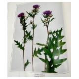 Vintage Wild Flowers Field Guide, Glass Hummingbird Feeders (2) & Crystal Hummingbird Ornament
