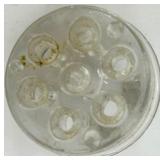 Glass Flower Frogs