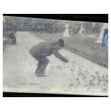 Bird Charmer - Vintage Glass Postcard
