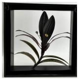 Framed Botanical Print in Ornate Gold Frame and Metal Floral wall Sculpture